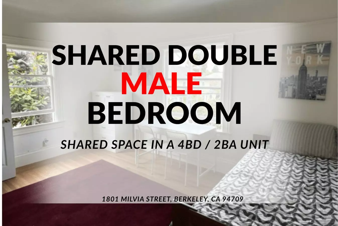 Studio • 1 Bath 3 floor plan