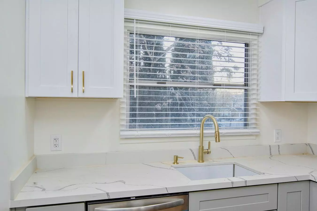 1BD/1BA floor plan
