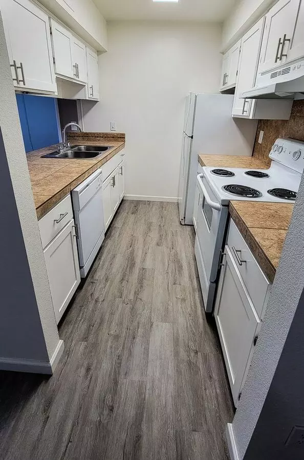 1 Bed • 1 Bath 244 floor plan