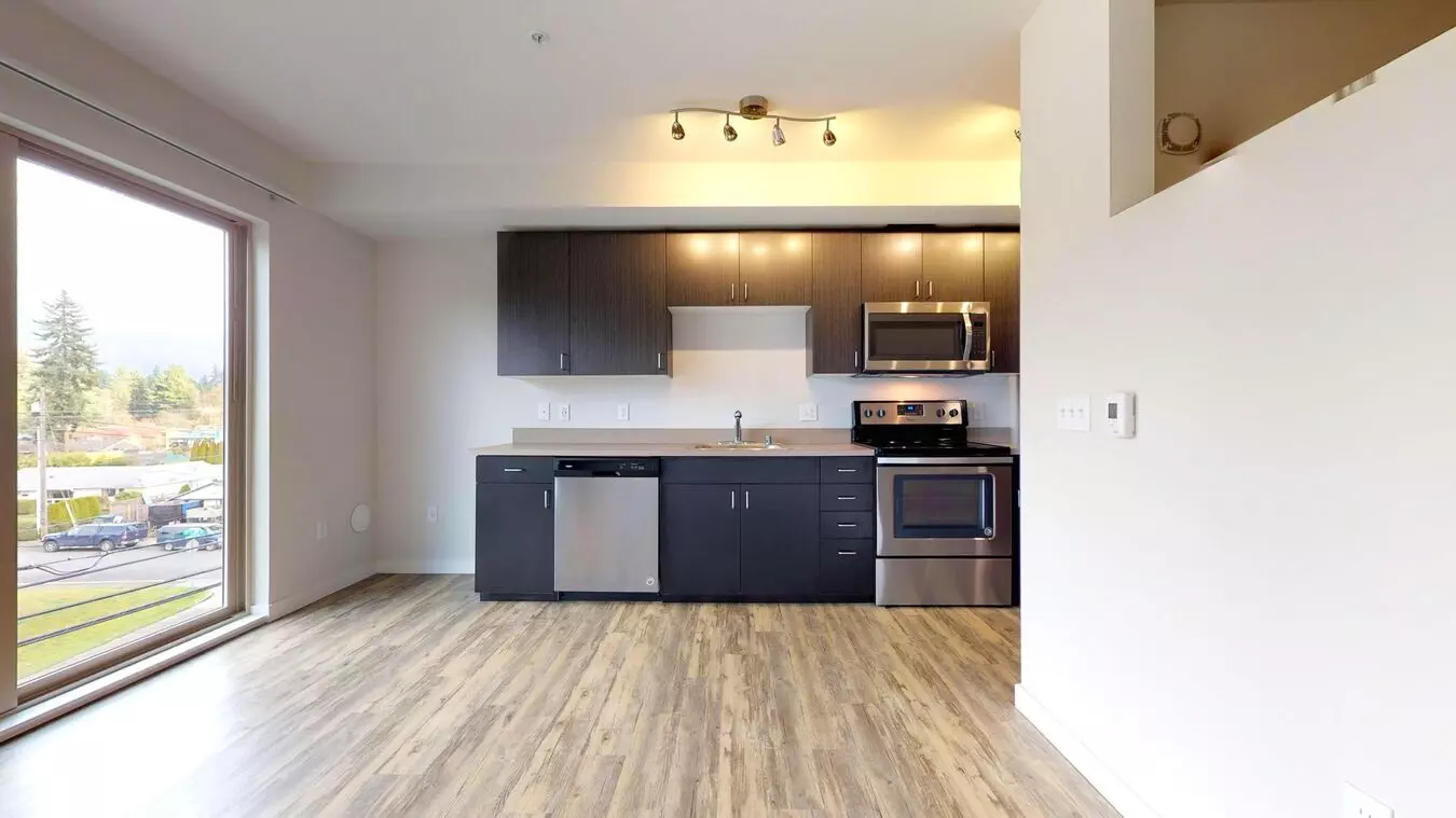 Open 1x1 Knox 203 floor plan
