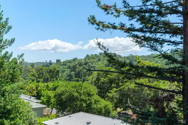334 Santa Margarita San Rafael, CA 94901 photo 5