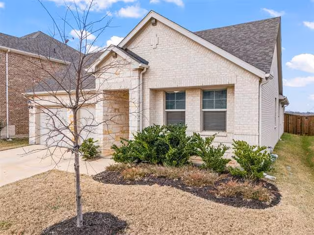 2517 Amistad Ln Corinth, TX 76210 photo 3