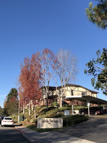 La Jolla Terrace photo 5