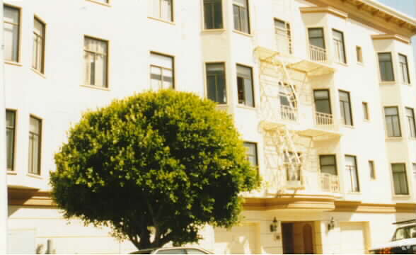 290 Alhambra Street Apartments photo 5