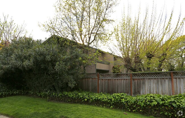 Saratoga Square photo 2