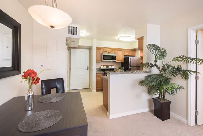 Santa Teresa Apartments photo 5