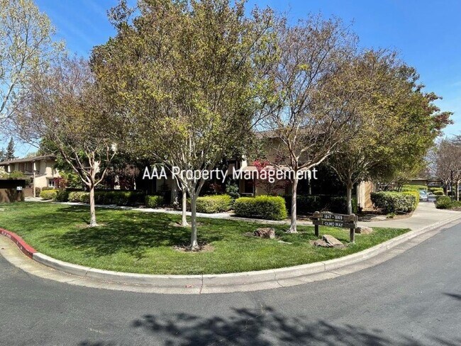 1861 Olmo Way, Walnut Creek, CA 94598 photo 2
