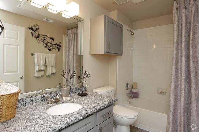 Sola Westchase photo 2