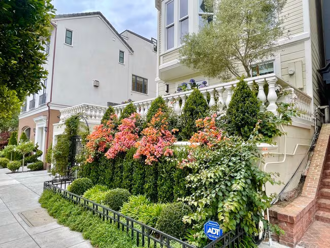 3878 Jackson Street, San Francisco, CA 94118 photo 3