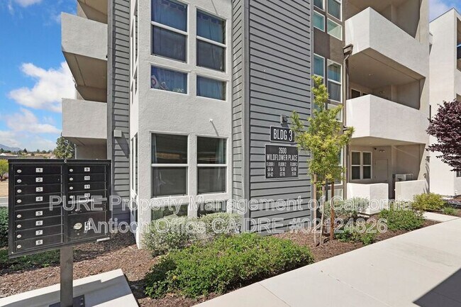 2600 Wildflower Sta Pl Antioch, CA 94531 photo 2