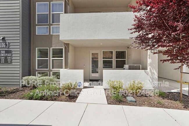 2600 Wildflower Sta Pl Antioch, CA 94531 photo 5