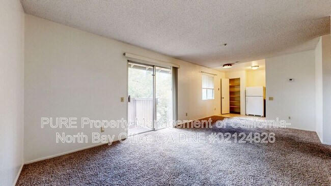 949 Camino Coronado Rohnert Park, CA 94928 photo 4