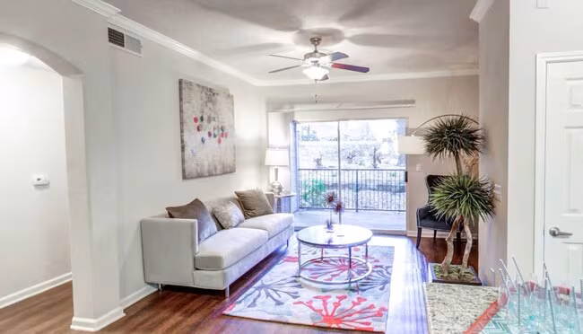 Nolina Flats photo 4