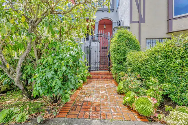 181 Marina Blvd San Francisco, CA 94123 photo 5