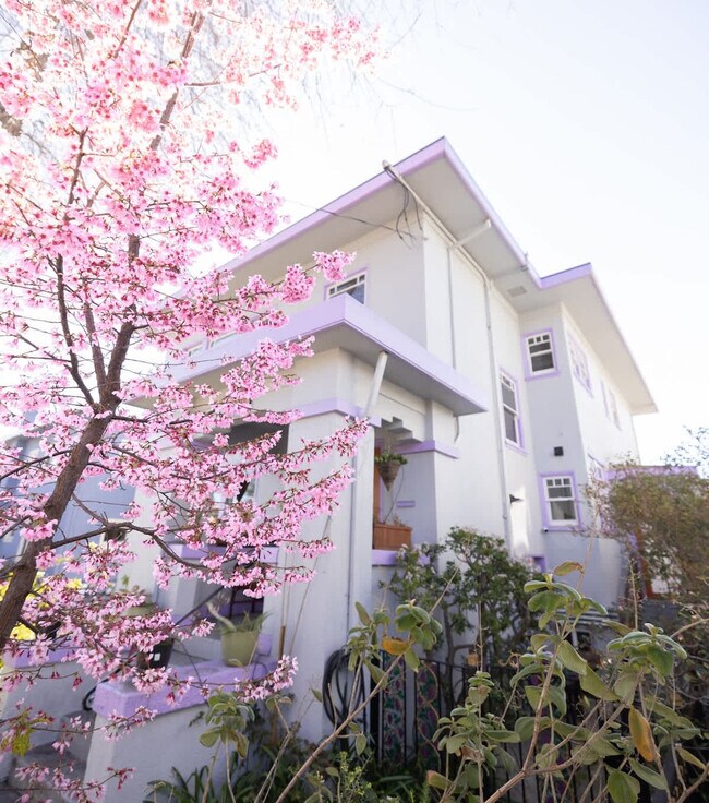 3148 College Ave Berkeley, CA 94705 photo 5