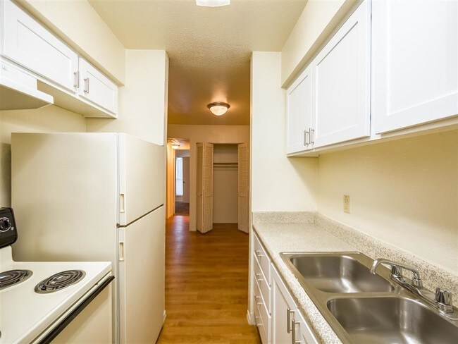 Willow Tree Apartments photo 2