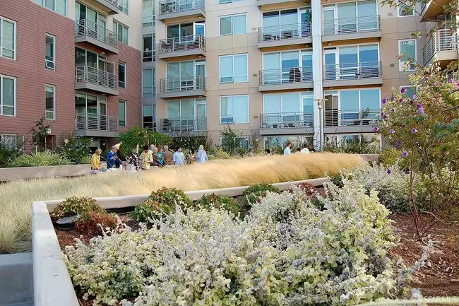 Park Terrace photo 5