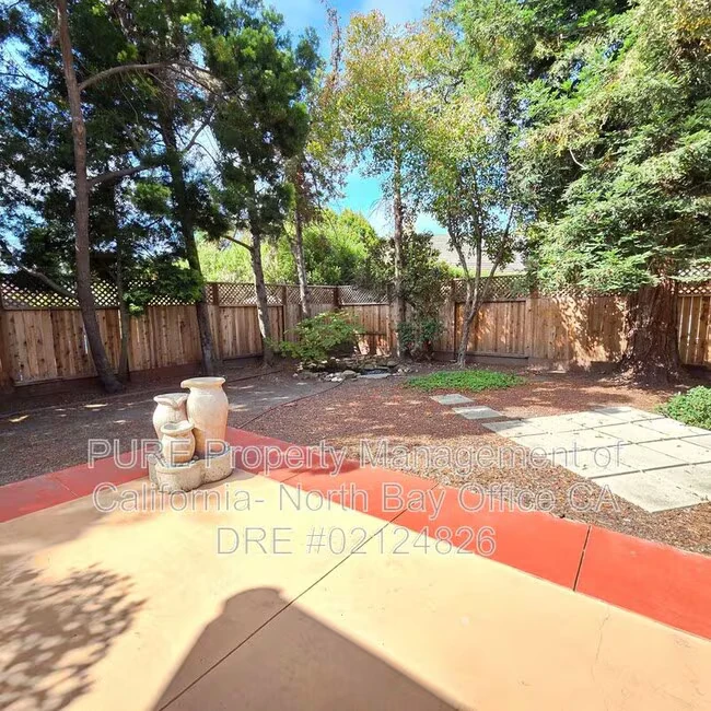 523 Maria Dr Petaluma, CA 94954 photo 3