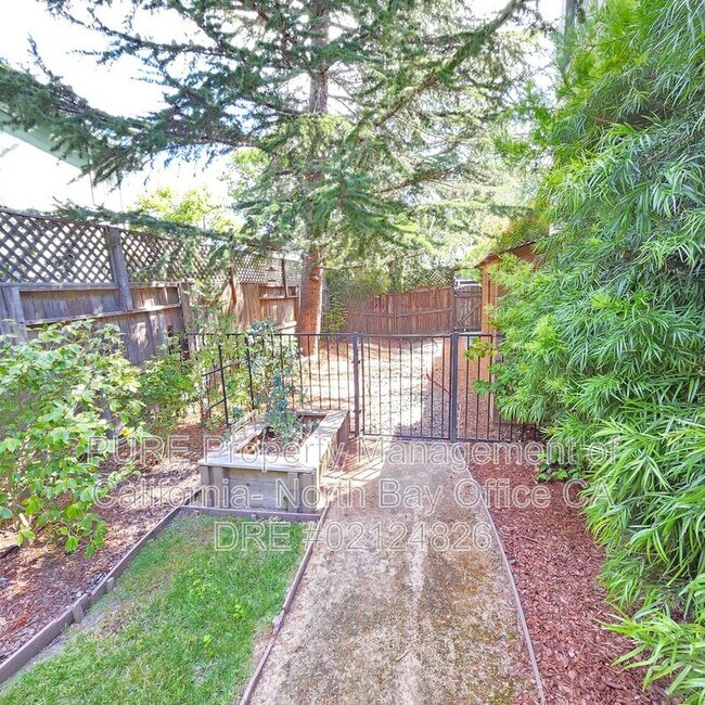 523 Maria Dr Petaluma, CA 94954 photo 5