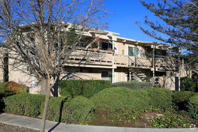 Apartments on Cabot Way photo 5