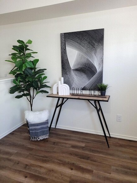 350  Debus DR photo 4
