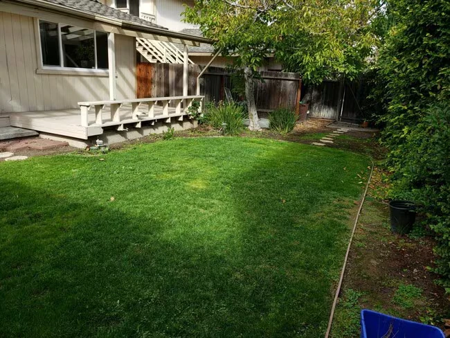 10190 Pasadena Ave Cupertino, CA 95014 photo 2