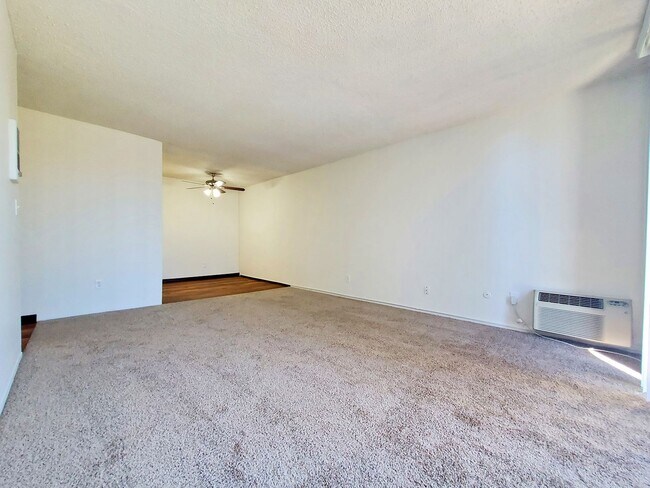 Westwood Apartments photo 3