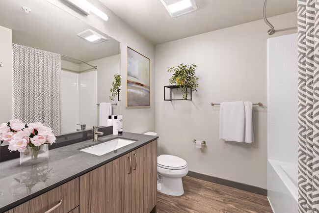 Edge Apartments photo 3