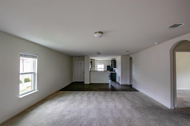 149 Proclamation Avenue, Liberty Hill, TX 78642 photo 4