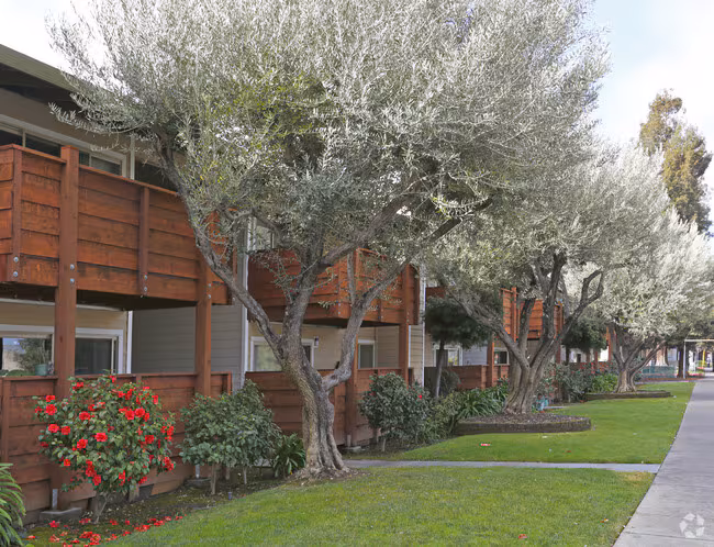 Portofino Apartments photo 5