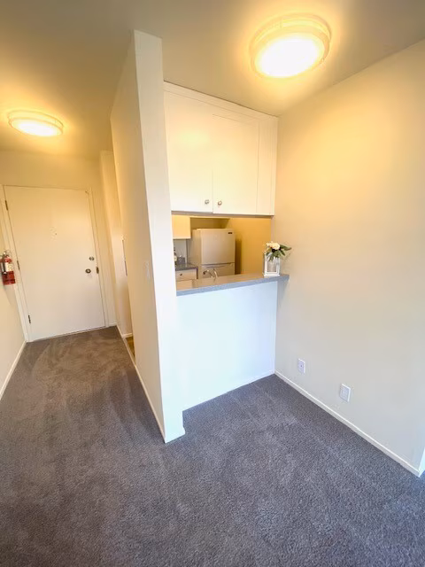 3633 Colegrove Apartments photo 4