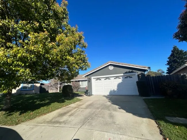 Spacious 3 Bedroom House in San Leandro photo 2