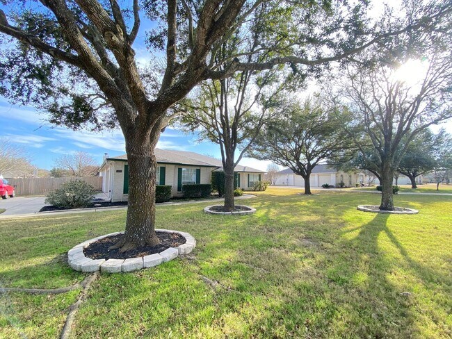 3605 Winding Way Round Rock, TX 78664 photo 3