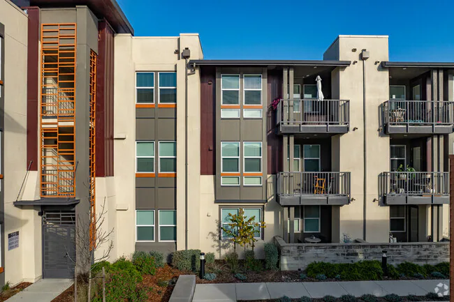 SOCO Apartments photo 4
