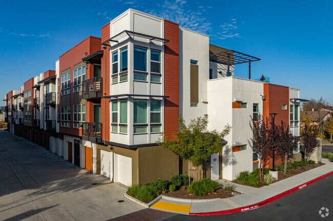 SOCO Apartments photo 4
