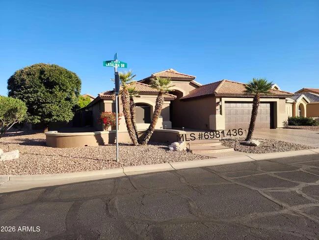 15548 W Catalina Dr Goodyear, AZ 85395 photo 3