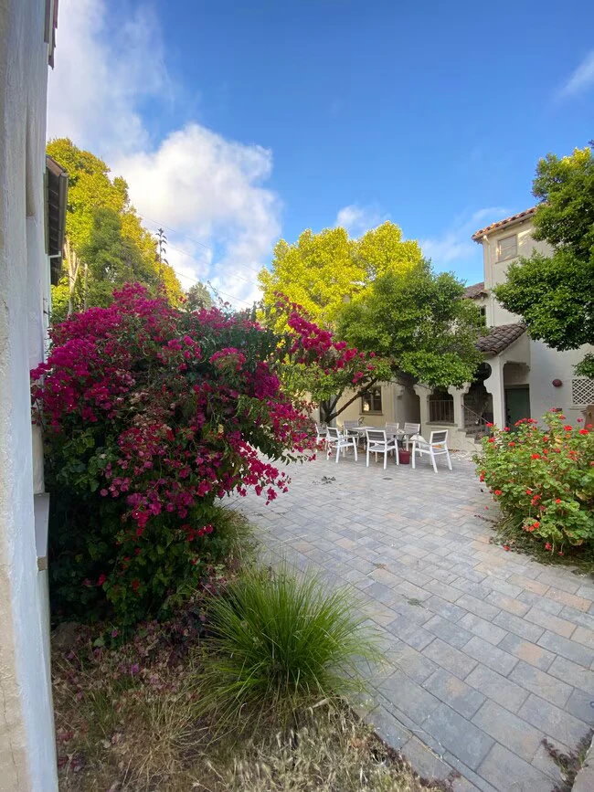 1700 Le Roy Ave Berkeley, CA 94709 photo 4