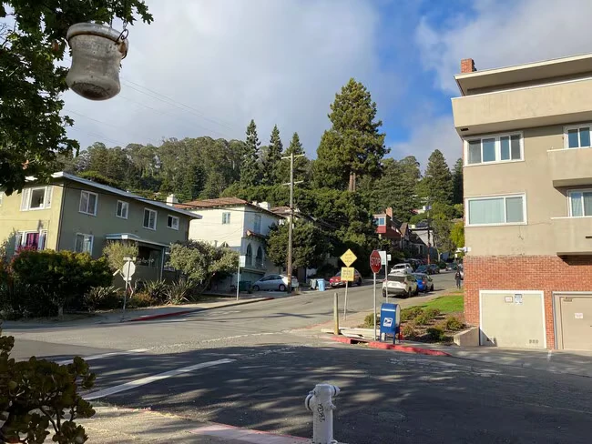1700 Le Roy Ave Berkeley, CA 94709 photo 2