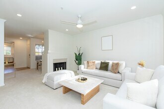 10101 N Arabian Trail Scottsdale, AZ 85258 photo 5
