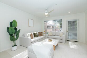 10101 N Arabian Trail Scottsdale, AZ 85258 photo 3