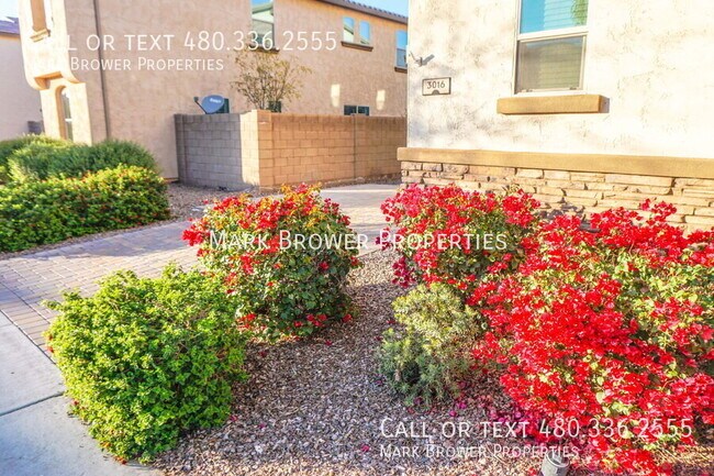 3016 E Shannon St Gilbert, AZ 85295 photo 3
