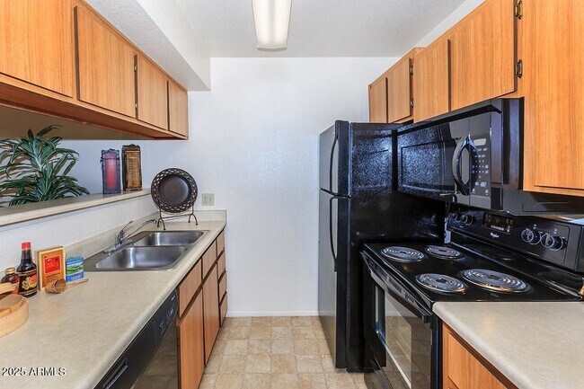 3040 E Shea Blvd Phoenix, AZ 85028 photo 3