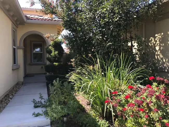 819 N Museo Dr Mountain House, CA 95391 photo 3