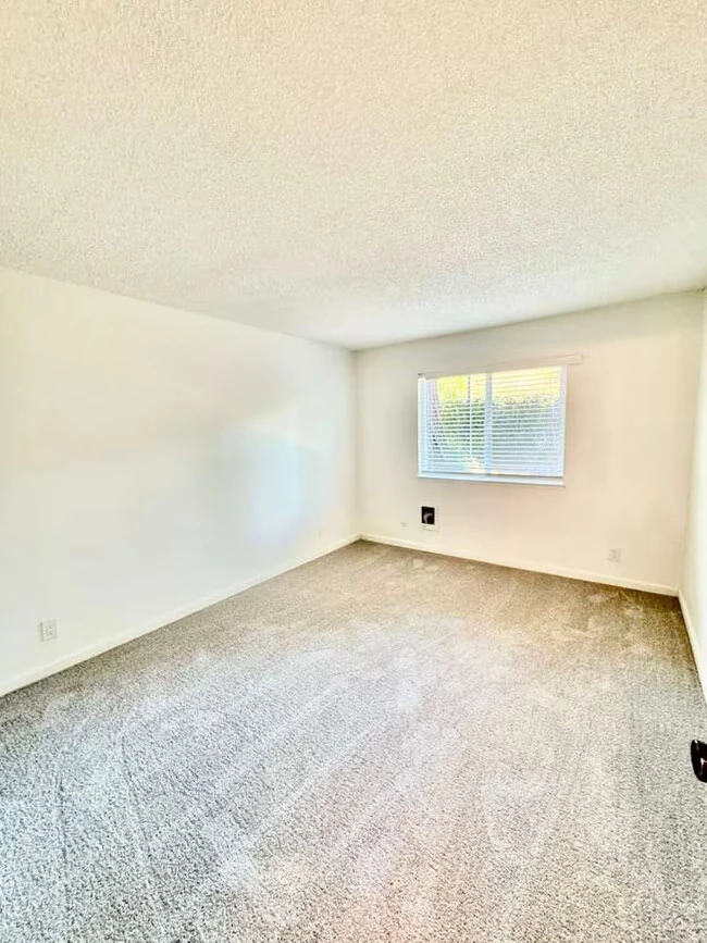 481 Ignacio Blvd Novato, CA 94949 photo 4