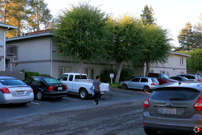 2BR/1BA Apartment on Walnut St · Napa photo 3