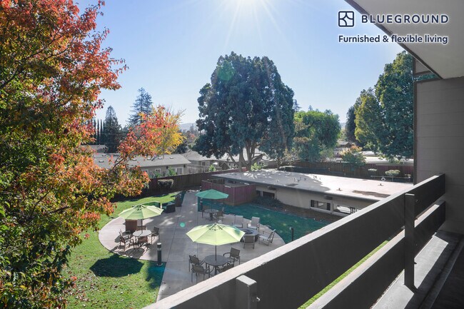 565 Arastradero Rd Palo Alto, CA 94306 photo 5