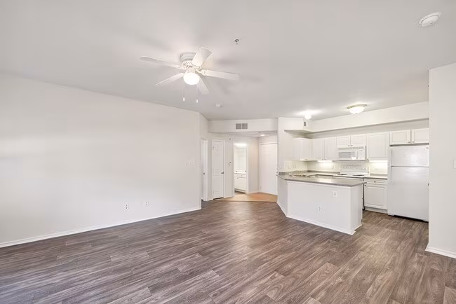 Tivoli Apartments photo 4