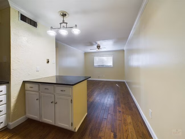 803 W 28th St Austin, TX 78705 photo 3