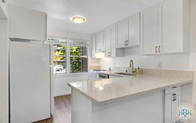 Charming  Fully Updated 2 BR | 1 BA Condo in Novato photo 3