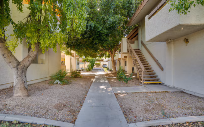 8847 North 8th St Phoenix, AZ 85020 photo 3